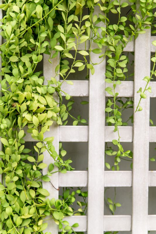 Wood Trellis Mounting