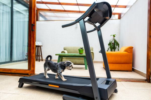 Treadmill Installation in Clover