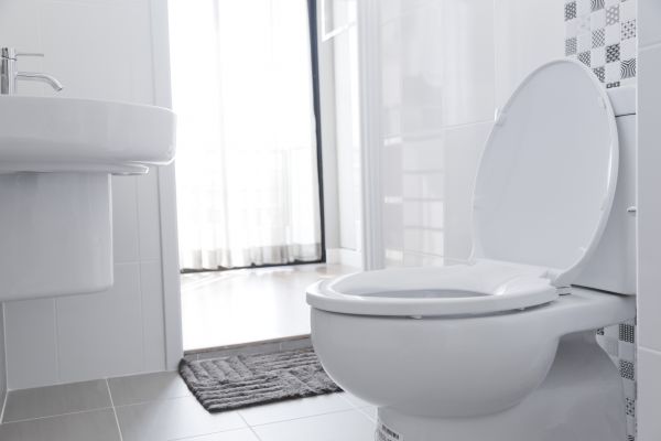 Toilet Seat Installation in Clover