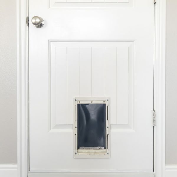 Pet Door Repair in Clover