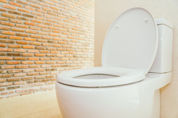 Toilet Seat Repair in Clover